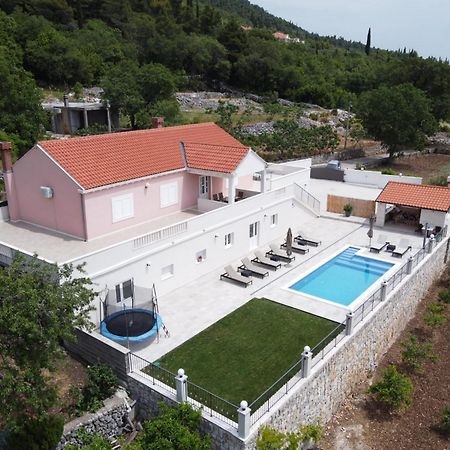 Villa Dragic Pridvorje المظهر الخارجي الصورة